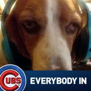 Meet your Posher, Jillian